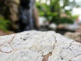 Stone Table with Blurred Garden Background, Suitable for Product Presentation Backdrop, Display, and Mock up. photo