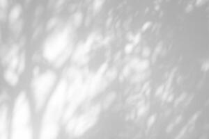 White Concrete Wall Texture Background with Light Bokeh and Shadow of Tree Branch on the Surface. photo
