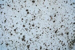 Dried Mud Splash on White Concrete Wall Texture Background. photo