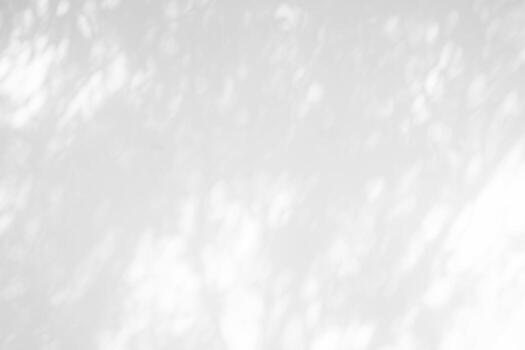 White Concrete Wall Texture Background with Light Bokeh and Shadow of Tree Branch on the Surface. photo