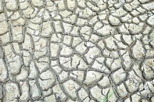 Close up White Dried Broken Earth Background, Suitable for Climate Change Concept. photo