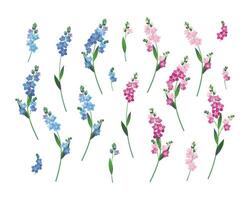 Set of blue and pink forget-me-nots on a white background. Vector illustration for wedding design.