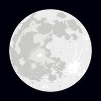 Vector graphics of the moon isolated on a white background. Realistic illustration of the Earth's satellite.