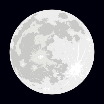 Vector graphics of the moon isolated on a white background. Realistic illustration of the Earth's satellite.