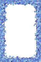 Forget me not frame a white background. vector