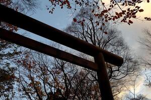 Bottom View of Torii in Cloudy Day. Torii is Traditional Gate of Shinto Shrine in Japan. photo