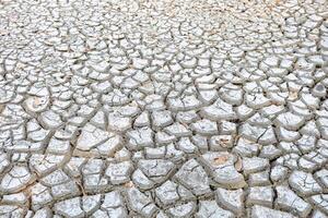 Close up White Dried Broken Earth Background. photo