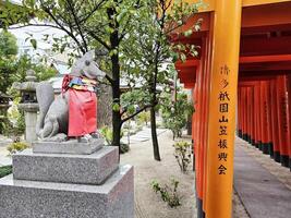 FUKUOKA, JAPAN NOVEMBER 13, 2023 Fox statue and red Torii gates at Kushida Jinja shrine where is a Shinto shrine located in Hakata-ku, Fukuoka, Japan, was founded in in 757. photo