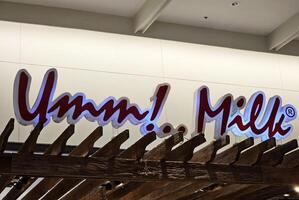 BANGKOK, THAILAND JULY 09, 2023 Umm Milk Sign. Umm Milk is a famous milk and icecream shop in Thailand. photo