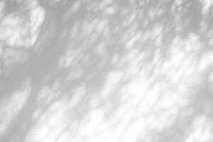 White Bokeh Effect for Color Cast Background. photo