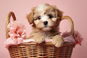 ai generado adorable mullido pequeño perrito en un mimbre cesta con flores en un rosado antecedentes foto