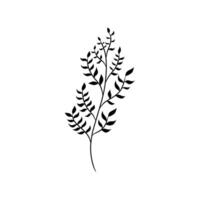 Black and white plant illustration. Suitable for nature themed designs, botanical prints, home decor, and organic products packaging. vector