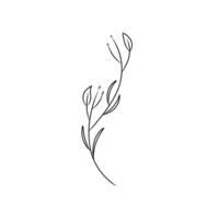 Simple line drawing of a flower suitable for nature themed designs, floral prints, garden illustrations, botanical patterns, and spring or summer themed projects. vector