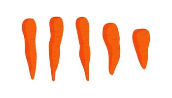 Carrot illustration, suitable for food and cooking content, vegetable recipes, or healthy eating concepts. vector