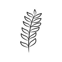 Close up black and white leaf drawing suitable for nature themed designs, wall art, botanical illustrations, and educational materials. vector