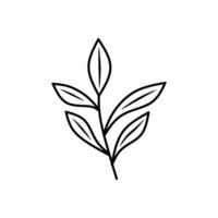 Black and white leaf drawing suitable for nature themed designs, organic products, environmental campaigns, educational materials, and minimalist aesthetic concepts. vector