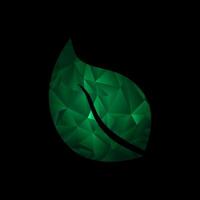 Abstract green leaf on black background. Vector illustration for your design.