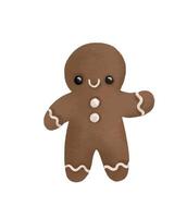 Set of gingerbread cookies. Hand drawn illustration on isolated vector