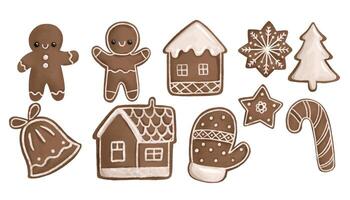 Set of gingerbread cookies. Hand drawn illustration on isolated vector