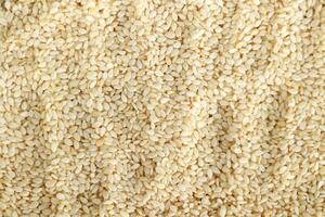 Raw White Sesame  Seed Food Background photo