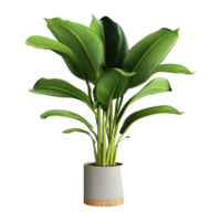 AI generated Tropical plant isolated on transparent background png