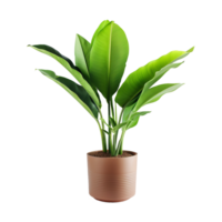 AI generated Tropical plant isolated on transparent background png