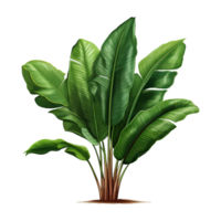 AI generated Tropical plant isolated on transparent background png