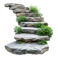 ai gerado cortar Fora escadas fez do ampla pedra passos Escadaria forrado com verde plantas isolado em transparente fundo png