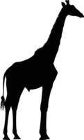 AI generated Silhouette giraffe black color only full body vector