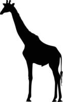 AI generated Silhouette giraffe black color only full body vector