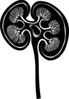 AI generated Silhouette for internal organs of kidney black color only vector