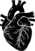 AI generated Silhouette for internal organs of heart black color only vector