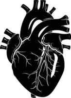 AI generated Silhouette for internal organs of heart black color only vector