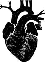 AI generated Silhouette for internal organs of heart black color only vector