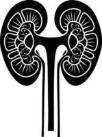 AI generated Silhouette for internal organs of kidney black color only vector