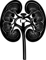 AI generated Silhouette for internal organs of kidney black color only vector