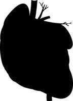 AI generated Silhouette for internal organs of liver black color only vector