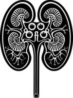 AI generated Silhouette for internal organs of kidney black color only vector