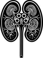 AI generated Silhouette for internal organs of kidney black color only vector