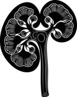 AI generated Silhouette for internal organs of kidney black color only vector