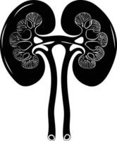 AI generated Silhouette for internal organs of kidney black color only vector