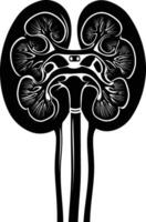 AI generated Silhouette for internal organs of kidney black color only vector
