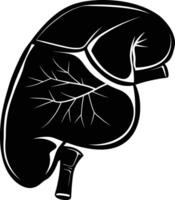 AI generated Silhouette for internal organs of liver black color only vector