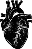 AI generated Silhouette for internal organs of the heart black color only vector