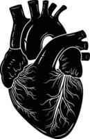 AI generated Silhouette for internal organs of the heart black color only vector