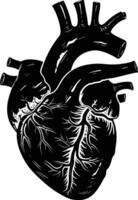 AI generated Silhouette for internal organs of the heart black color only vector