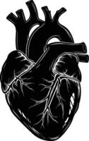 AI generated Silhouette for internal organs of the heart black color only vector