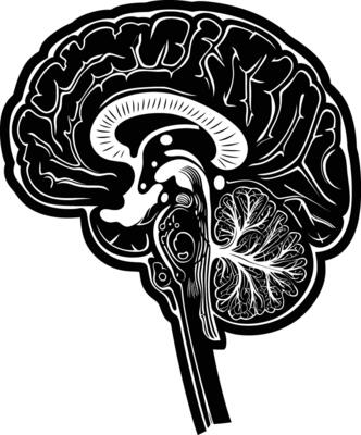 AI generated Silhouette for internal organs of the brain black color only