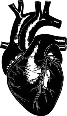 AI generated Silhouette for internal organs of the heart black color only