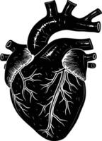 AI generated Silhouette for internal organs of the heart black color only vector